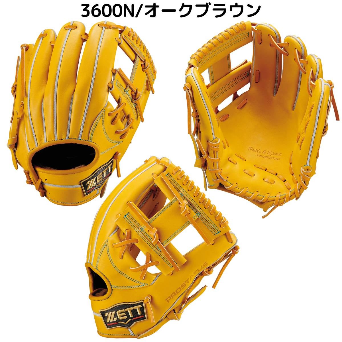ゼット ZETT 専用グラブ袋付き PROSTATUS SE 硬式用グラブ 内野手用