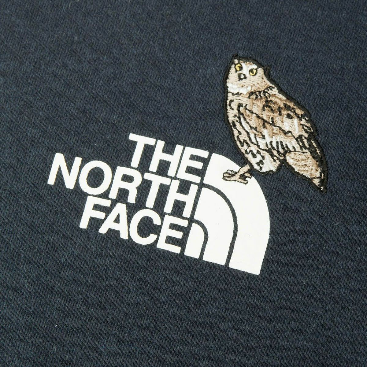 ザ・ノース・フェイス ロングスリーブズーピッカーティー THE NORTH