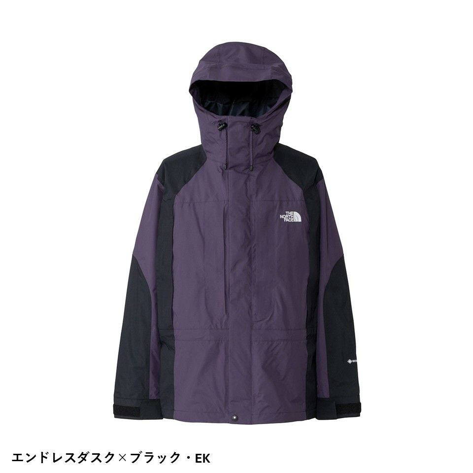 ザ・ノース・フェイス 2000レトロマウンテンライトジャケット 2層構造