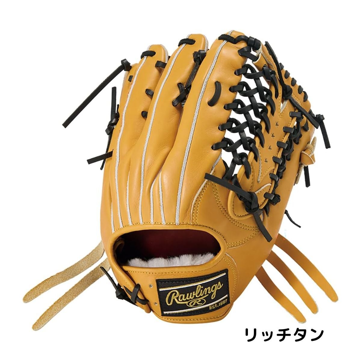 ローリングス Rawlings 専用グラブ袋付き PRO PREFERRED 硬式用グラブ