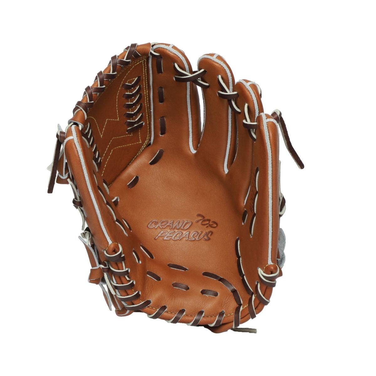 ワールドペガサス WORLD PEGASUS グランドペガサス TOP 硬式・軟式兼用