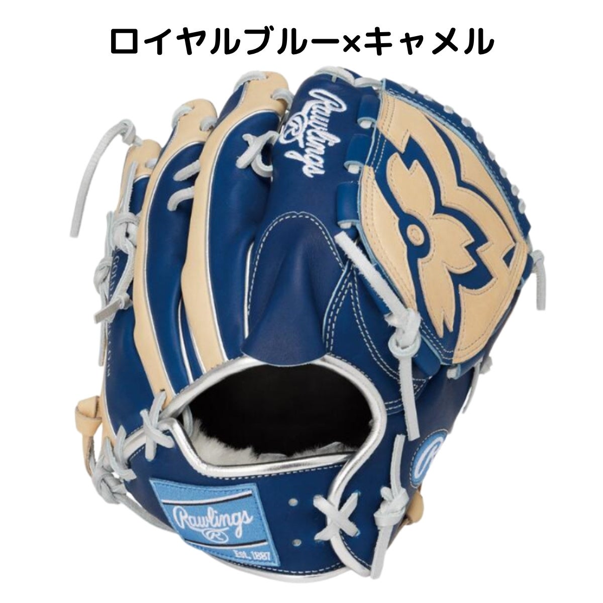 ローリングス Rawlings HOH PRO EXCEL Wizard #02 COLORS 軟式用グラブ