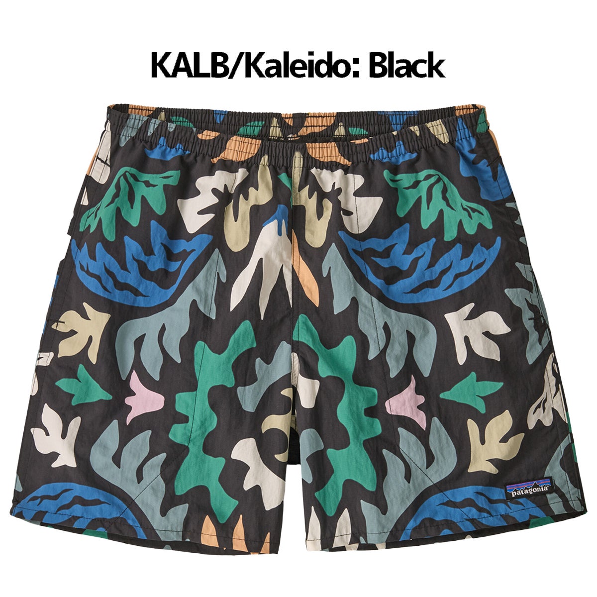 パタゴニア バギーズ・ショーツ 5インチ Patagonia Baggies Shorts 5