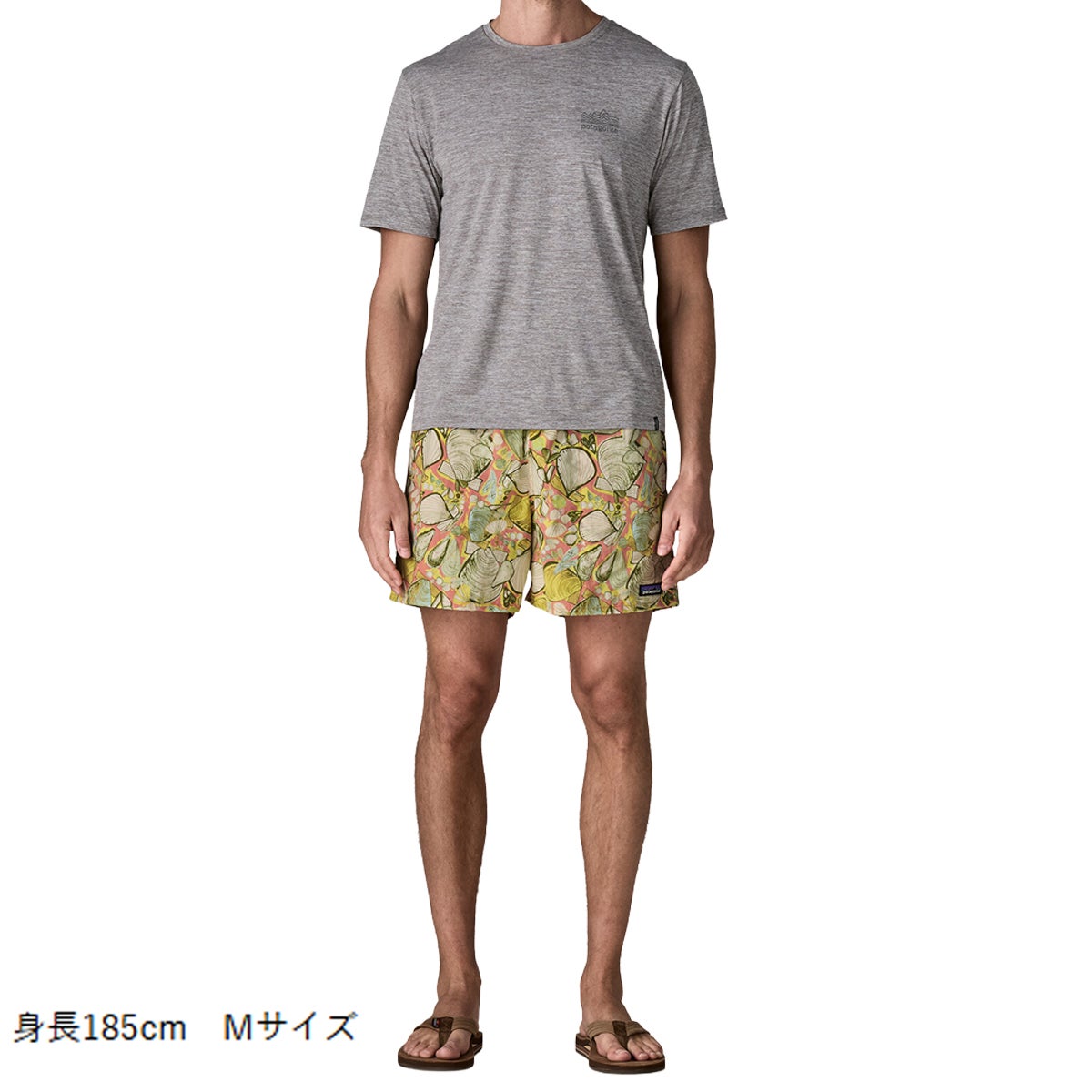 パタゴニア バギーズ・ショーツ 5インチ Patagonia Baggies Shorts 5