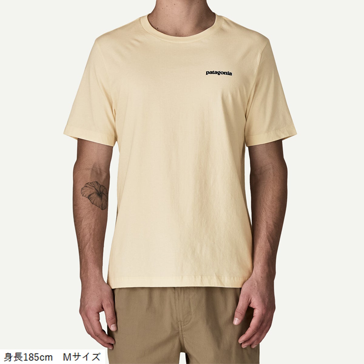 パタゴニア フィッツロイ・トラウト・Tシャツ Patagonia Fitz Roy