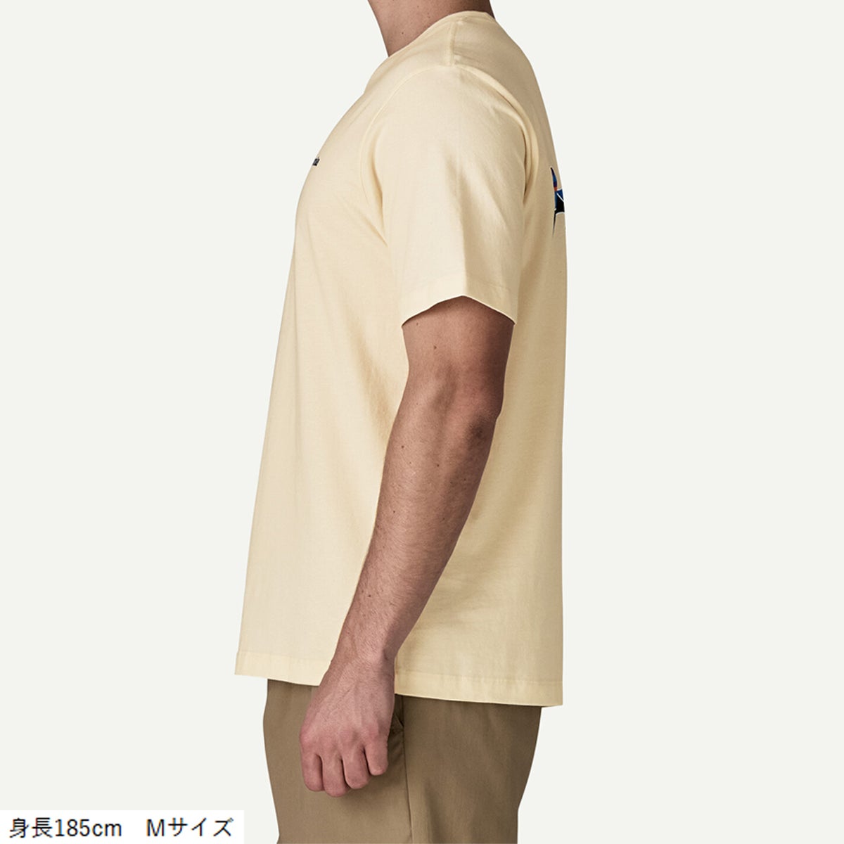 パタゴニア フィッツロイ・トラウト・Tシャツ Patagonia Fitz Roy