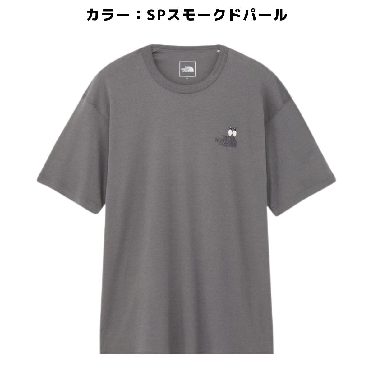 ザ・ノース・フェイス ショートスリーブズーピッカーティー スレート