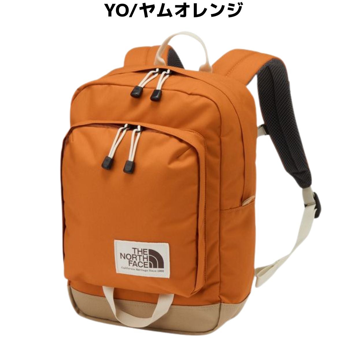 ザ・ノース・フェイス ホットショットミニ キッズ ジュニア 13L THE